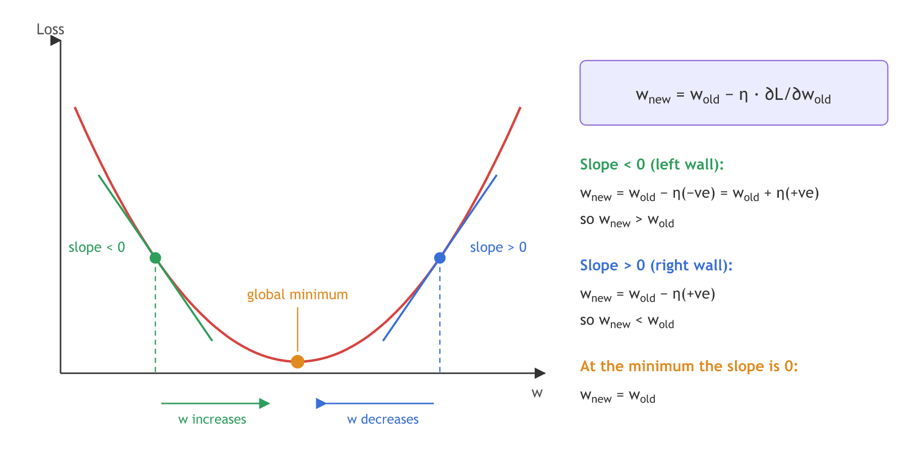 A U-shaped loss curve against the weight w with its global minimum at the bottom. At a point on the left wall the tangent has a negative slope and w increases; at a point on the right wall the slope is positive and w decreases; at the minimum the slope is 0 and the weight stops changing.