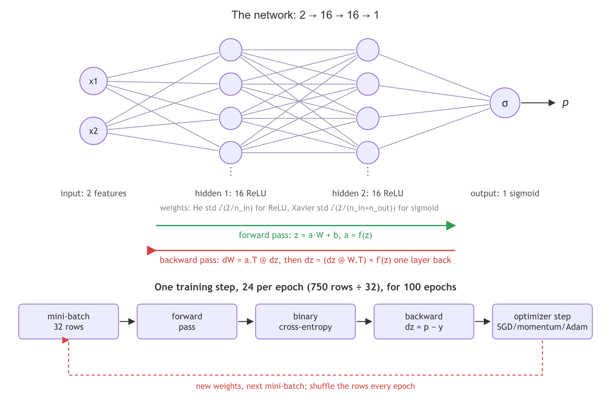 A network with 2 inputs, two hidden layers of 16 ReLU neurons and one sigmoid output p, trained by a loop of mini-batch, forward pass, binary cross-entropy, backward pass with dz = p minus y, and an optimizer step, repeated 24 times per epoch for 100 epochs.